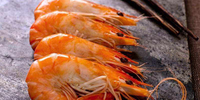 Foto: cortesía Productores de camarones han exportado más de 18 toneladas en lo que va de 2021