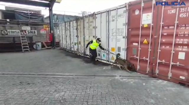 K9 detectó media tonelada de cocaína en Ecuador que iba a ser enviada a España