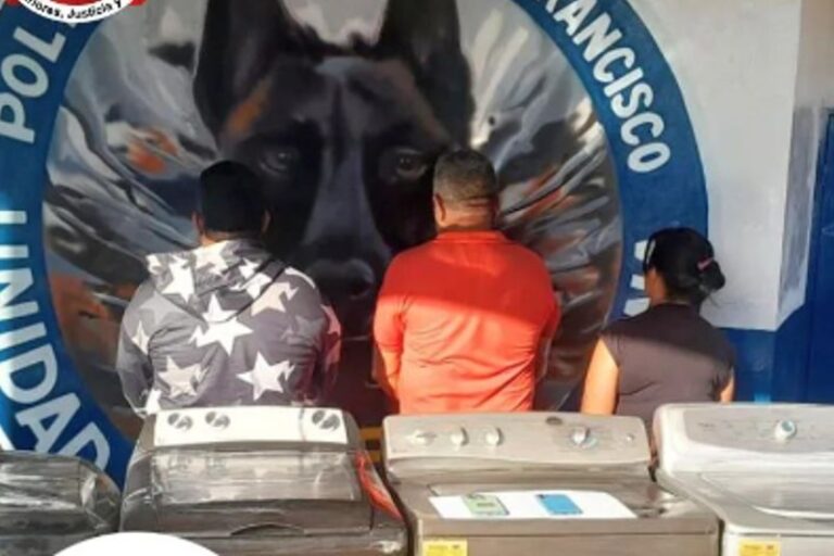 Tres detenidos por venta fraudulenta de electrodomésticos a través del Marketplace