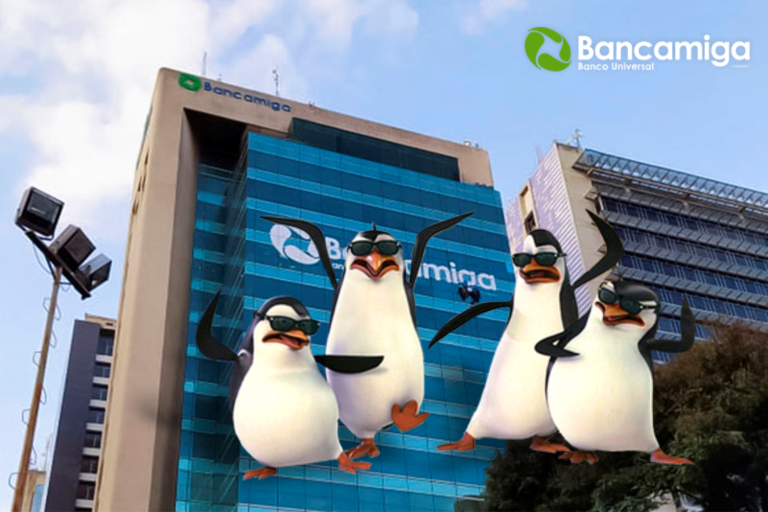 Team HDP filtra base de datos de Bancamiga Banco Universal
