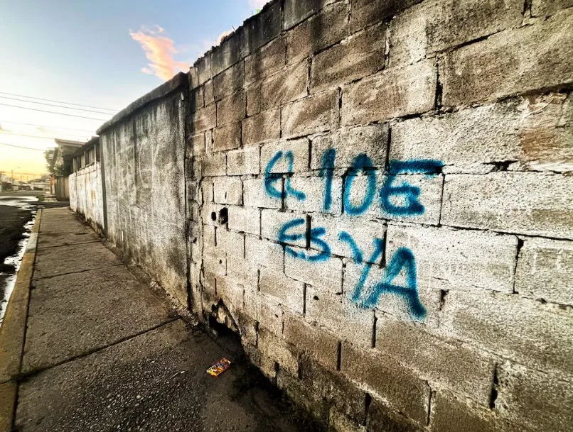 Protestas en Venezuela a un mes de la toma de posesión del presidente electo Edmundo González Urrutia