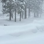 Avalancha se abalanzó sobre un grupo de esquiadores en California y nueve están desaparecidos