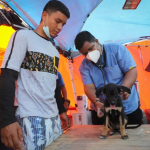 Más de 600 mascotas rescatadas esperan por sus familiares tras los terremotos en La Guaira
